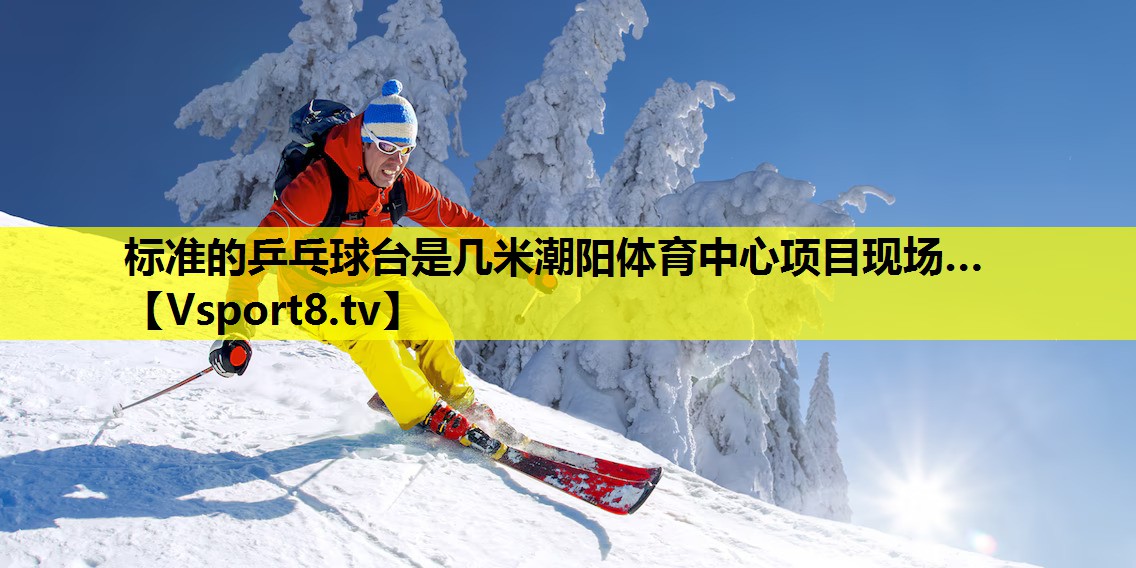 標準的乒乓球臺是幾米潮陽體育中心項目現場…