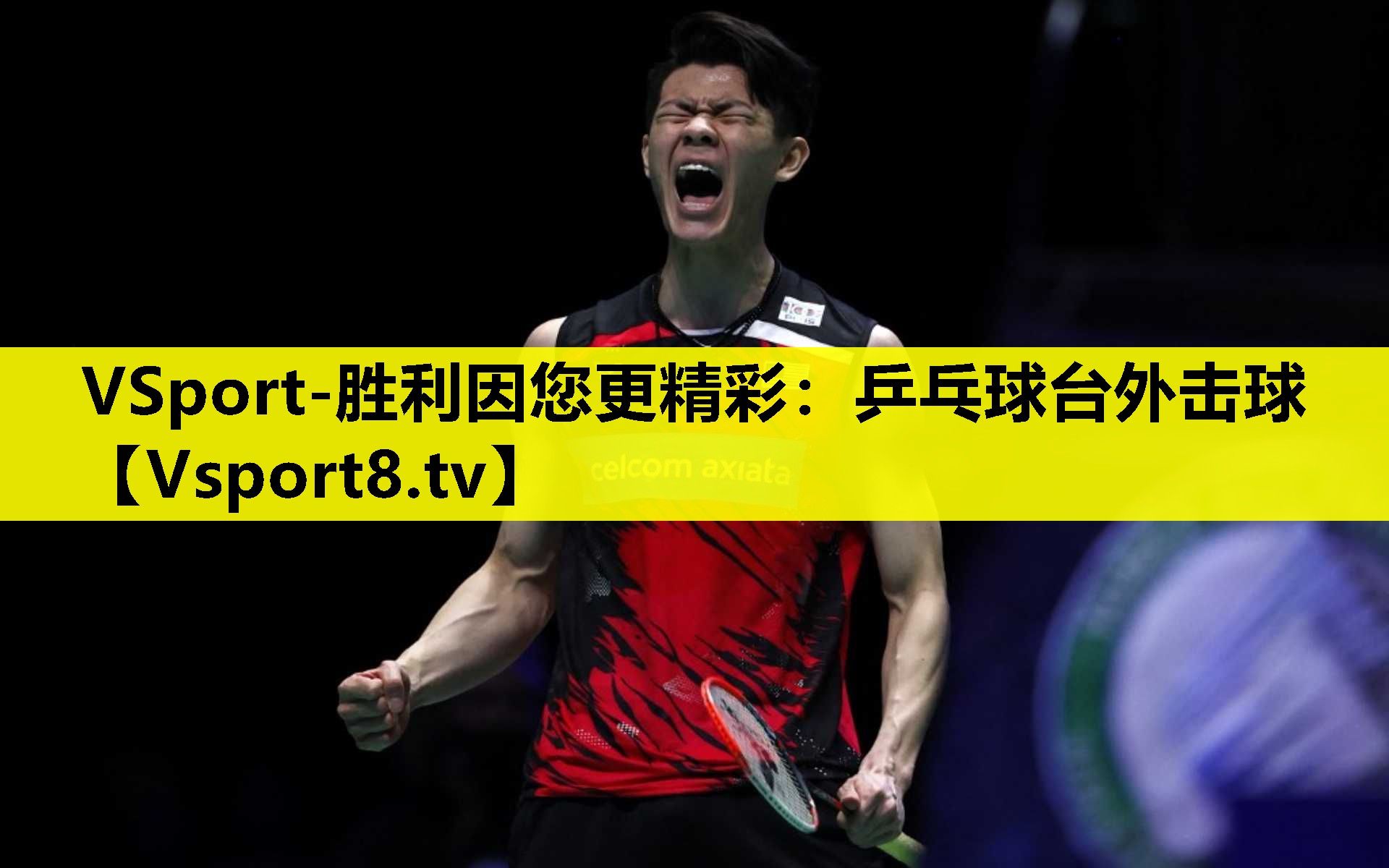 VSport-勝利因您更精彩：乒乓球臺外擊球