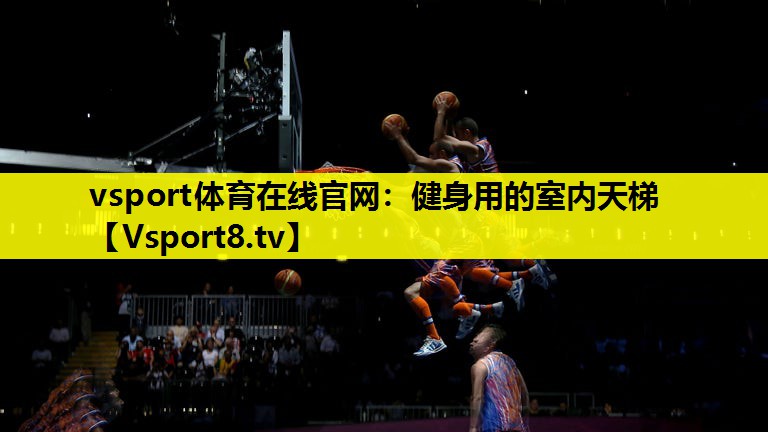 vsport體育在線官網：健身用的室內天梯
