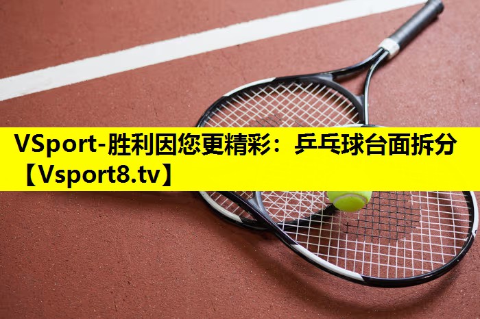 VSport-勝利因您更精彩：乒乓球臺(tái)面拆分