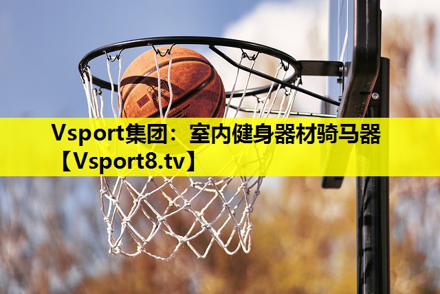 Vsport集團(tuán)：室內(nèi)健身器材騎馬器