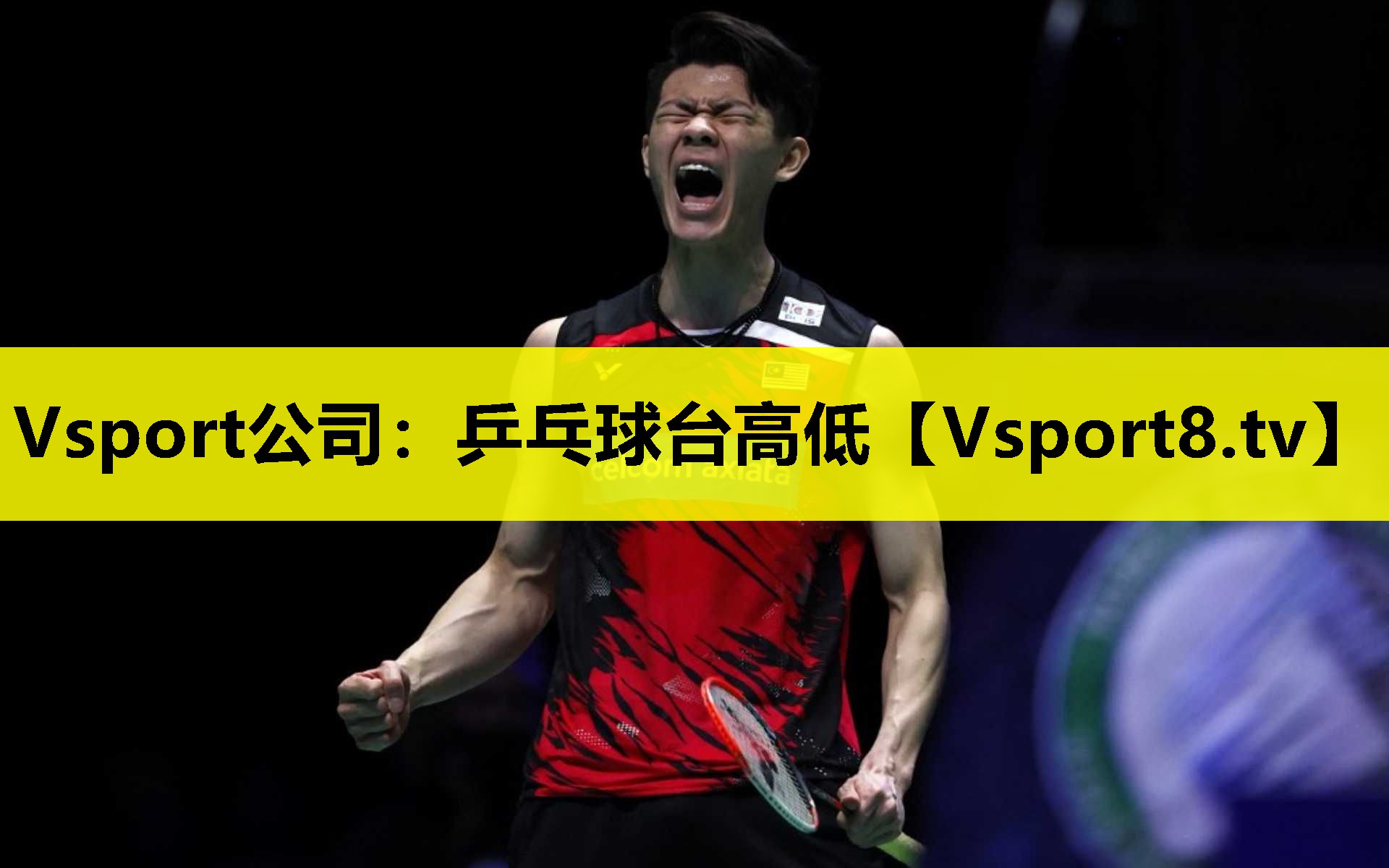 Vsport公司：乒乓球臺高低