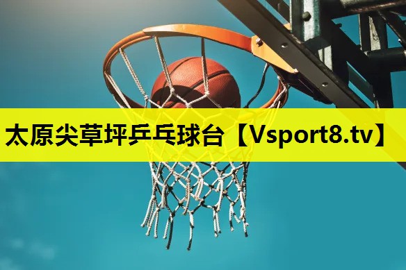 太原尖草坪乒乓球臺 太原尖草坪乒乓球臺