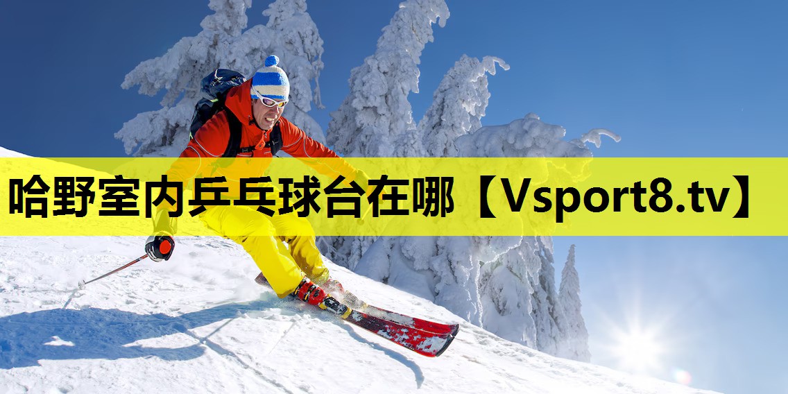 哈野室內乒乓球臺在哪 哈野室內乒乓球臺在哪