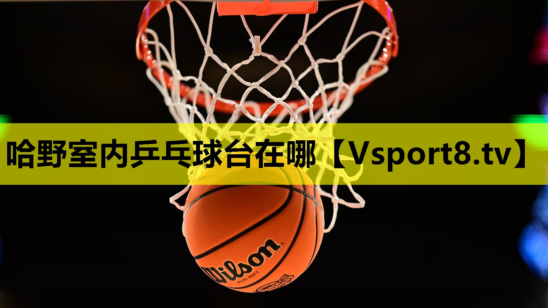 哈野室內乒乓球臺在哪 哈野室內乒乓球臺在哪