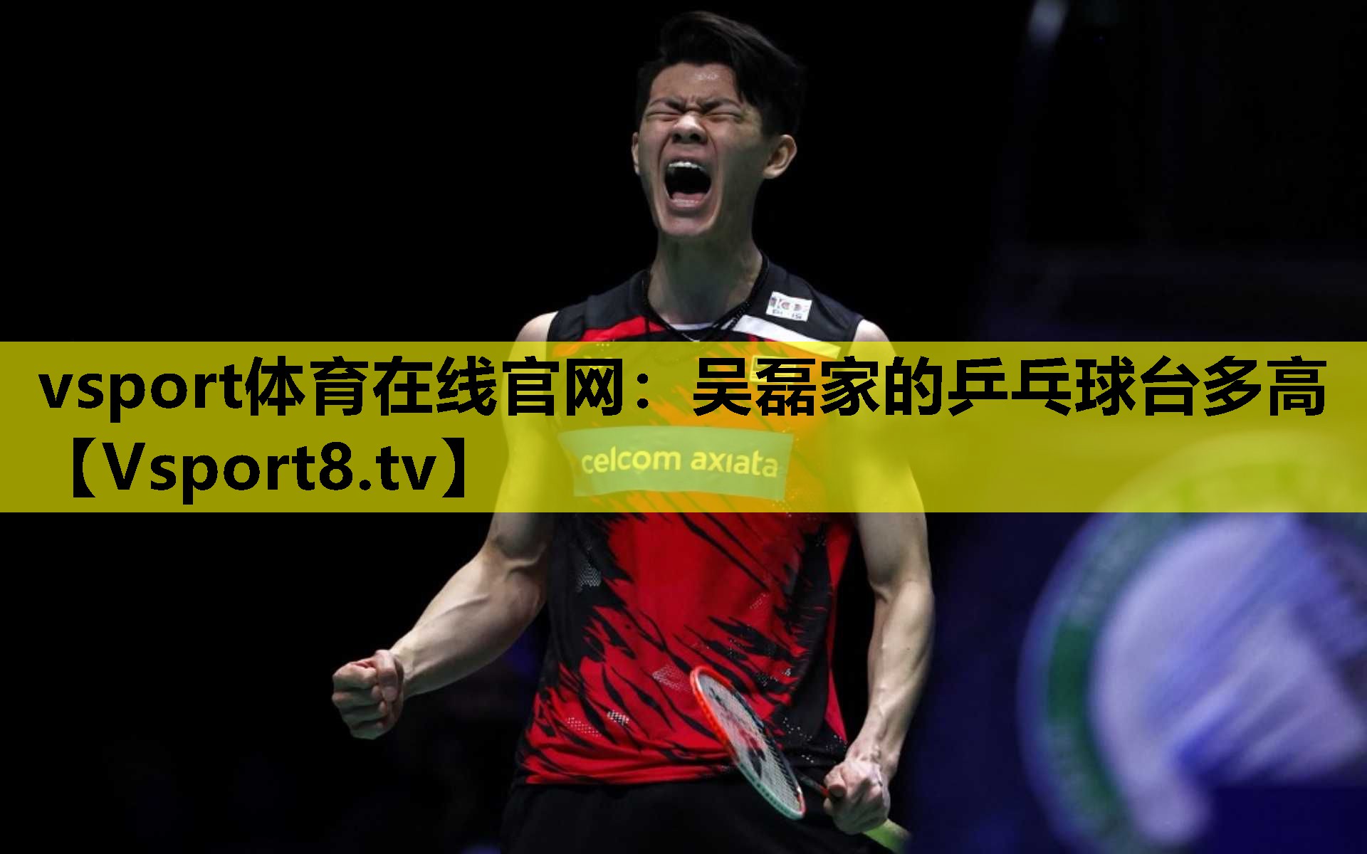 吳磊家的乒乓球臺多高 吳磊家的乒乓球臺多高